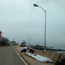 도리포민박 이미지