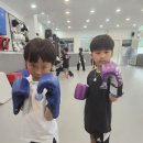 강인합기도 킥복싱 이미지