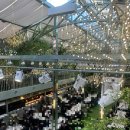 논현2-126 | 강남 밝은 홀 예식장 "빌라드지디 논현" 하객 후기