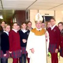 (주)카디널 이미지