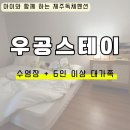 제주 개구리펜션 가족독채펜션 | 제주숙소 제주도독채펜션 추천｜구좌읍 《우공스테이》유아동반 가족 숙소 후기