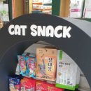 24시 애니동물병원 이미지