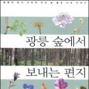 2005.4.6일자 문배울 브리핑입니다... 이미지