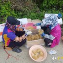 종삼농장 이미지