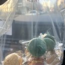 첨단연산로91번길 | 광주 첨단2지구 마카롱 맛집 | ‘항상 그 자리에’ 내돈내산 후기