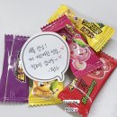 커피쏘냥 | 03•27~03•30 🍓 꽃구경 대신 강아지랑 데이트