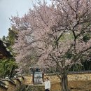밀양향교,영산정사,사명대사관광지~하동참게가리장~순천선암사로~~ 이미지