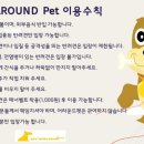 어라운드펫 네이버블로그