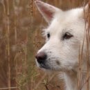 돌무덤농장 이미지