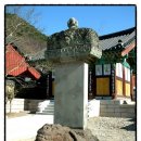 [전남] 色界[II] 봄바람 난 장발장 -_-,, … (1) 화엄사