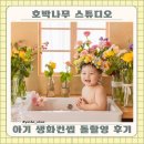부산 아기 돌촬영 호박나무 스튜디오 생화컨셉 촬영 후기