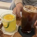 카페;489-11