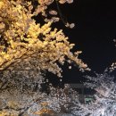 정성애국밥 이미지