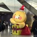 크리스마스 기념 강릉 여행🎄