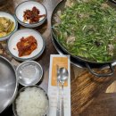 약나무마실 이미지