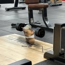 헬스로운짐 | 양덕동PT 추천 빅스짐 마산점 이철호 트레이너 헬스피티후기