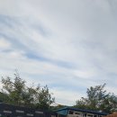 교촌치킨 북면점 이미지