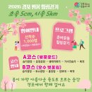 [소식나눔] 강릉시 - 2026 경포 벚꽃 힐링걷기 행사 「초속 5㎝, 시속 5㎞」 개최 안내 이미지