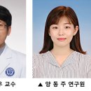 일차로 이미지