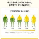 만능효소