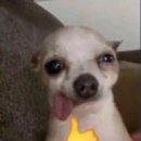 듀