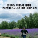 금잔디수선 | 홋카이도 후라노 비에비 3박 4일 패키지여행 후기