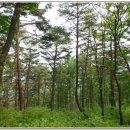 산곡주유소 이미지