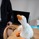 별별인형뽑기 이미지