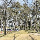 백일야영장 이미지