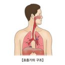 미만성 간질성 폐질환 (Diffuse Interstitial Lung Disease) 이미지