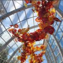 유리정원 | 시애틀 스페이스니들 옆 찐감성 명소! 치훌리 유리정원 구경 후기