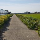 유천1리마을회관 이미지