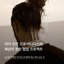 프로젝트오브프로젝트 이미지