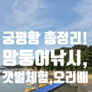 화성 가볼만한곳. 아이와 함께 하는 궁평항 즐길거리 총정리! 궁평항 수산시장·유람선·오리배·어린이...
