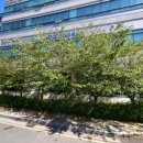 중2동-34 이미지