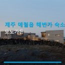 명품펜션갤러리 | 제주 애월읍 해변가 숙소 모노가든 주차 편리·조식 포함 여부 확인