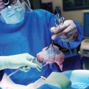 신장농장 이미지