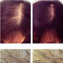 단디한의원 이미지