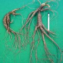 진명한의원 이미지