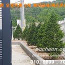 오성조경개발 네이버블로그