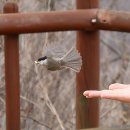 오봉산 맨발 등산로 이미지