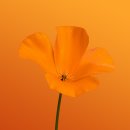 정성컴퓨터 티스토리