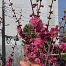 장산농장 | [부산 일상] 해운대 중동 핸드드립/로스터리 카페 "상록수 커피" 흡족했던 후기