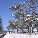 광희초등학교 이미지