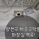 유정필로티
