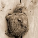 2024년 4월 20일 토요일 출석부/ 영광 불갑사(佛甲寺) 편 이미지