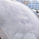 스팀컨테이너 - 칠곡군 중앙로 148-5 | 스팀컨테이너