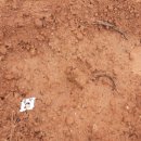 주렴농장 이미지