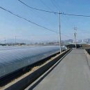 부산KS공인중개사사무소 이미지