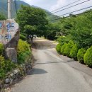 푸른나래펜션 이미지